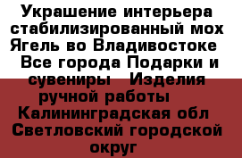 Украшение интерьера стабилизированный мох Ягель во Владивостоке - Все города Подарки и сувениры » Изделия ручной работы   . Калининградская обл.,Светловский городской округ 